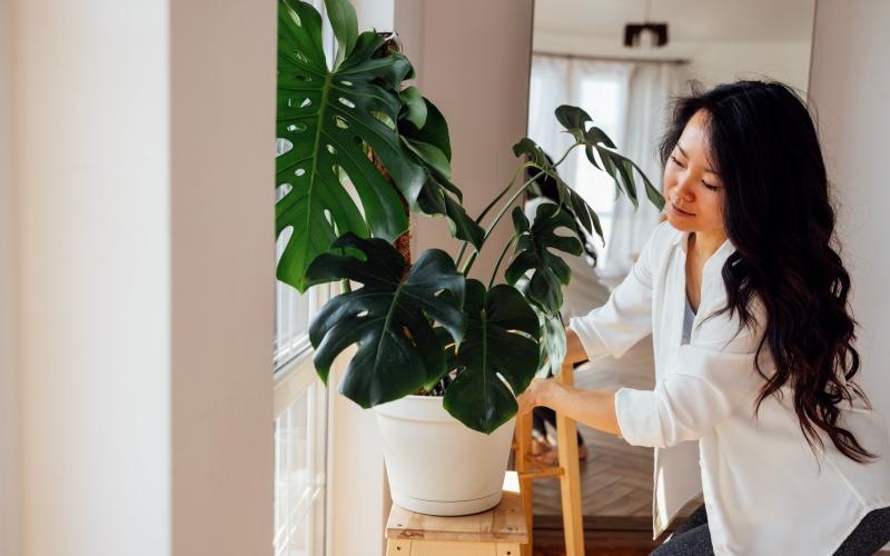 a woman watering a plant J Centra Burlington NJ apts for rent 